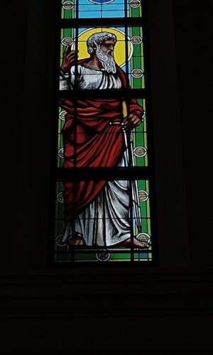IMG_20231211_115618408